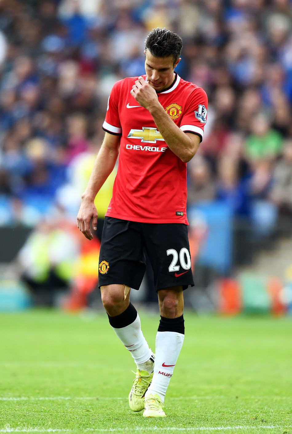 田中碧谈弗朗西斯受伤：真的很抱歉，祈愿他尽快恢复回归赛场（田中碧谈弗朗西斯伤情：深表歉意，盼其尽快康复重返赛场）